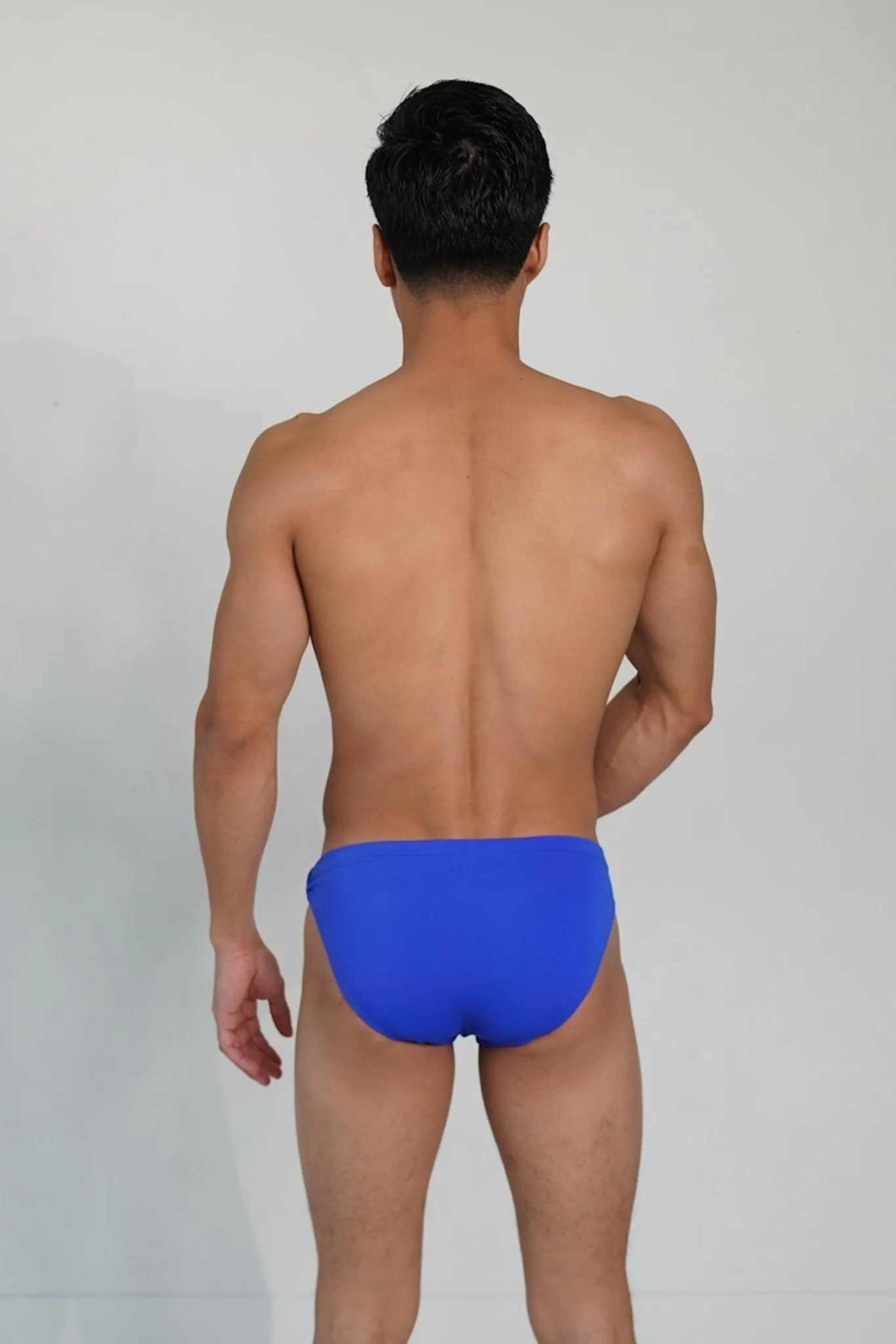 Blue Hybrid Brief
